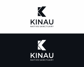 Kinau entry by zidan