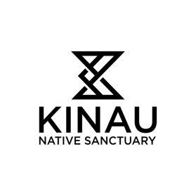 Kinau entry by flas