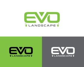 Evo Landscape entry by Ameer967