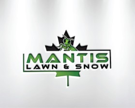 Lawn Care and Snow Removal Services entry by baba