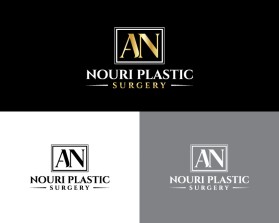 Nouri Plastic Surgery entry by Amir Hamzaa