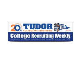 Tudor Collegiate Strategies entry by andsue