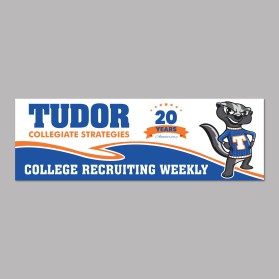 Tudor Collegiate Strategies entry by Unik Media