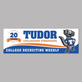 Tudor Collegiate Strategies entry by Unik Media