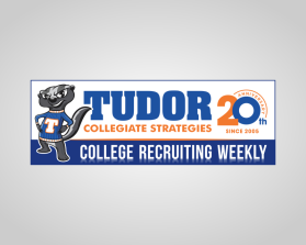 Tudor Collegiate Strategies entry by andsue