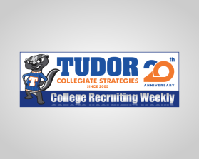 Tudor Collegiate Strategies entry by andsue