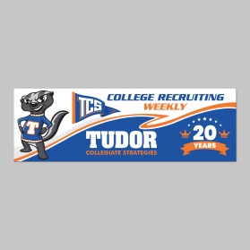 Tudor Collegiate Strategies entry by Unik Media
