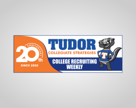 Tudor Collegiate Strategies entry by andsue