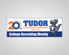 Tudor Collegiate Strategies entry by andsue