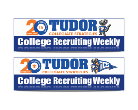 Tudor Collegiate Strategies entry by andsue
