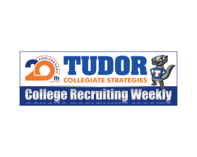 Tudor Collegiate Strategies entry by andsue