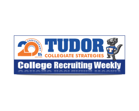 Tudor Collegiate Strategies entry by andsue
