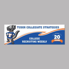 Tudor Collegiate Strategies entry by Unik Media