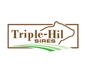 Triple-Hil Sires entry by twdesignstudio