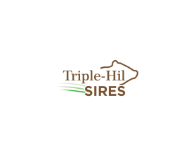 Triple-Hil Sires entry by Lancarw0