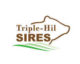 Triple-Hil Sires entry by twdesignstudio
