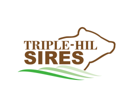 Triple-Hil Sires entry by twdesignstudio