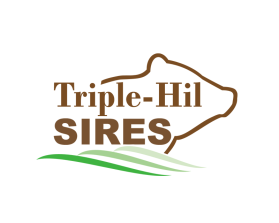 Triple-Hil Sires entry by twdesignstudio