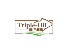 Triple-Hil Sires entry by mannat1922z