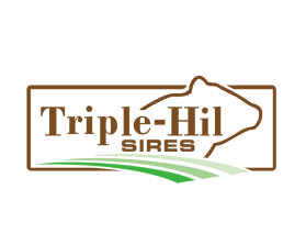 Triple-Hil Sires entry by twdesignstudio