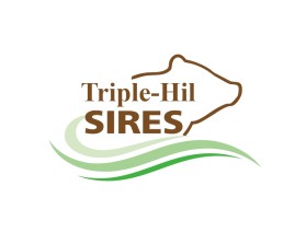 Triple-Hil Sires entry by davinci2023