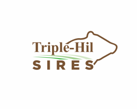 Triple-Hil Sires entry by mulia
