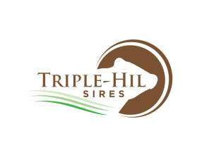 Triple-Hil Sires entry by BOYLANG