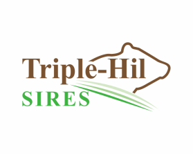 Triple-Hil Sires entry by mulia