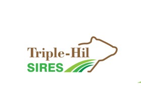 Triple-Hil Sires entry by sekawan77