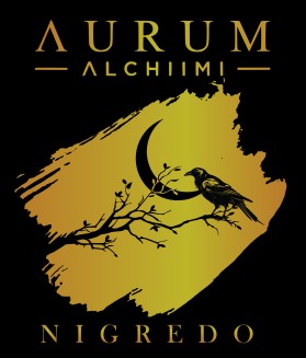 AURUM ALCHIIMI entry by Habiba251