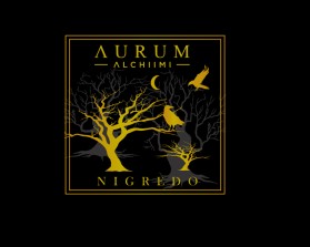 AURUM ALCHIIMI entry by paulcantindesign