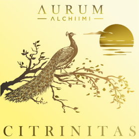 AURUM ALCHIIMI Citrinitas Eyeshadow Palette by Sage Rebels entry by dragandjb