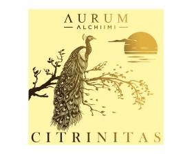 AURUM ALCHIIMI Citrinitas Eyeshadow Palette by Sage Rebels entry by Armchtrm