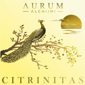 AURUM ALCHIIMI Citrinitas Eyeshadow Palette by Sage Rebels entry by dragandjb