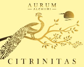 AURUM ALCHIIMI Citrinitas Eyeshadow Palette by Sage Rebels entry by bayu_desain88