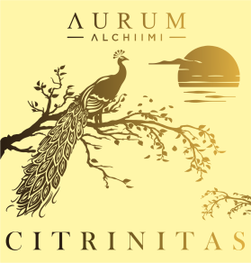 AURUM ALCHIIMI Citrinitas Eyeshadow Palette by Sage Rebels entry by designqusaja