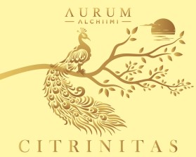 AURUM ALCHIIMI Citrinitas Eyeshadow Palette by Sage Rebels entry by bayu_desain88