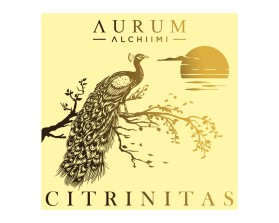 Winning entry: AURUM ALCHIIMI Citrinitas Eyeshadow Palette by Sage Rebels entry by Armchtrm