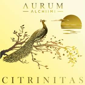 AURUM ALCHIIMI Citrinitas Eyeshadow Palette by Sage Rebels entry by dragandjb