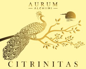 AURUM ALCHIIMI Citrinitas Eyeshadow Palette by Sage Rebels entry by bayu_desain88