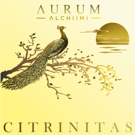 AURUM ALCHIIMI Citrinitas Eyeshadow Palette by Sage Rebels entry by dragandjb