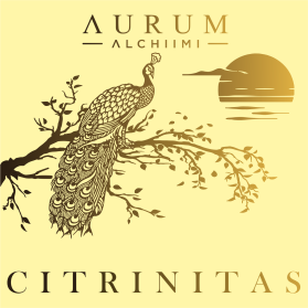 AURUM ALCHIIMI Citrinitas Eyeshadow Palette by Sage Rebels entry by designqusaja