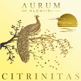 AURUM ALCHIIMI Citrinitas Eyeshadow Palette by Sage Rebels entry by dragandjb