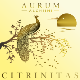 AURUM ALCHIIMI Citrinitas Eyeshadow Palette by Sage Rebels entry by dragandjb