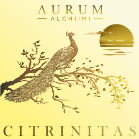 AURUM ALCHIIMI Citrinitas Eyeshadow Palette by Sage Rebels entry by dragandjb