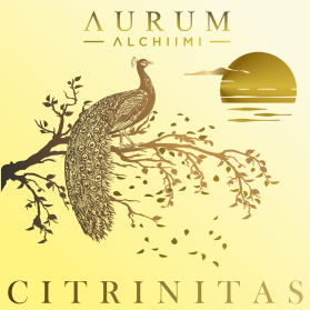 AURUM ALCHIIMI Citrinitas Eyeshadow Palette by Sage Rebels entry by dragandjb