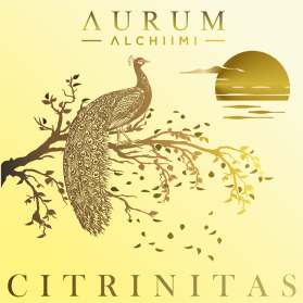 AURUM ALCHIIMI Citrinitas Eyeshadow Palette by Sage Rebels entry by dragandjb