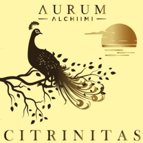 AURUM ALCHIIMI Citrinitas Eyeshadow Palette by Sage Rebels entry by Zavi