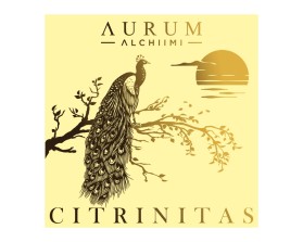 AURUM ALCHIIMI Citrinitas Eyeshadow Palette by Sage Rebels entry by Armchtrm