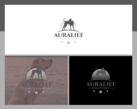 Auralief Solutions entry by Nish